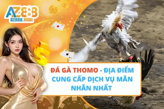 Đá Gà Thomo